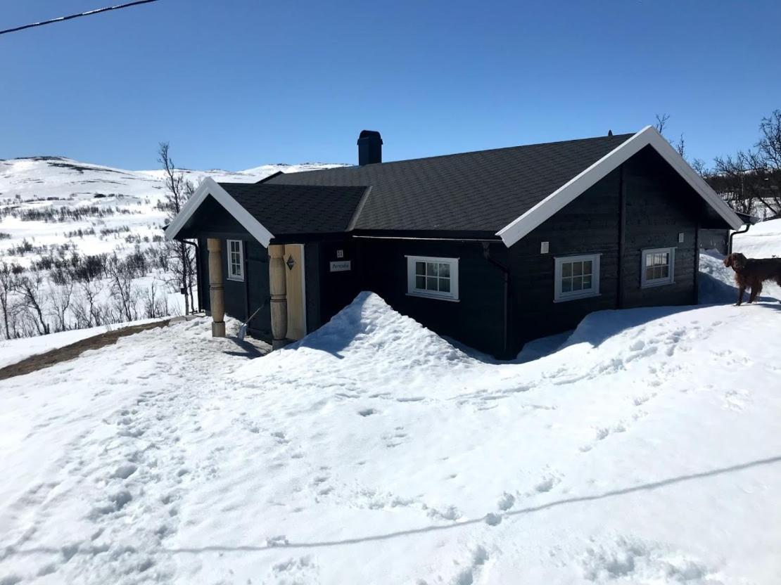 Torsetåsen 34 Villa Uvdal Eksteriør bilde