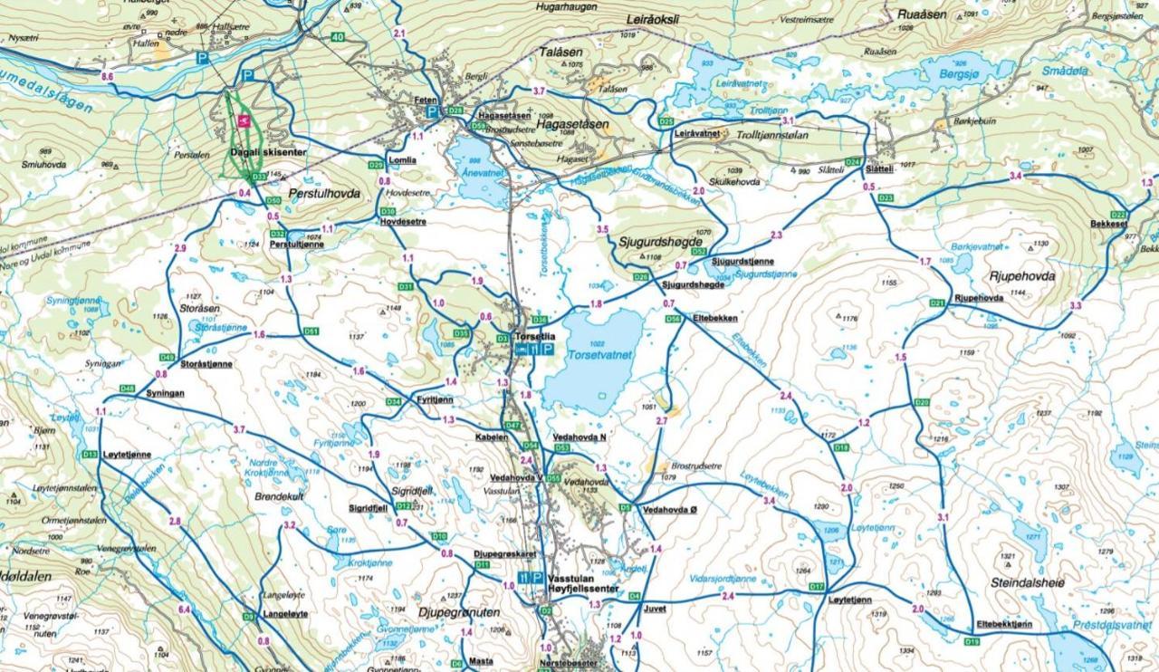 Torsetåsen 34 Villa Uvdal Eksteriør bilde