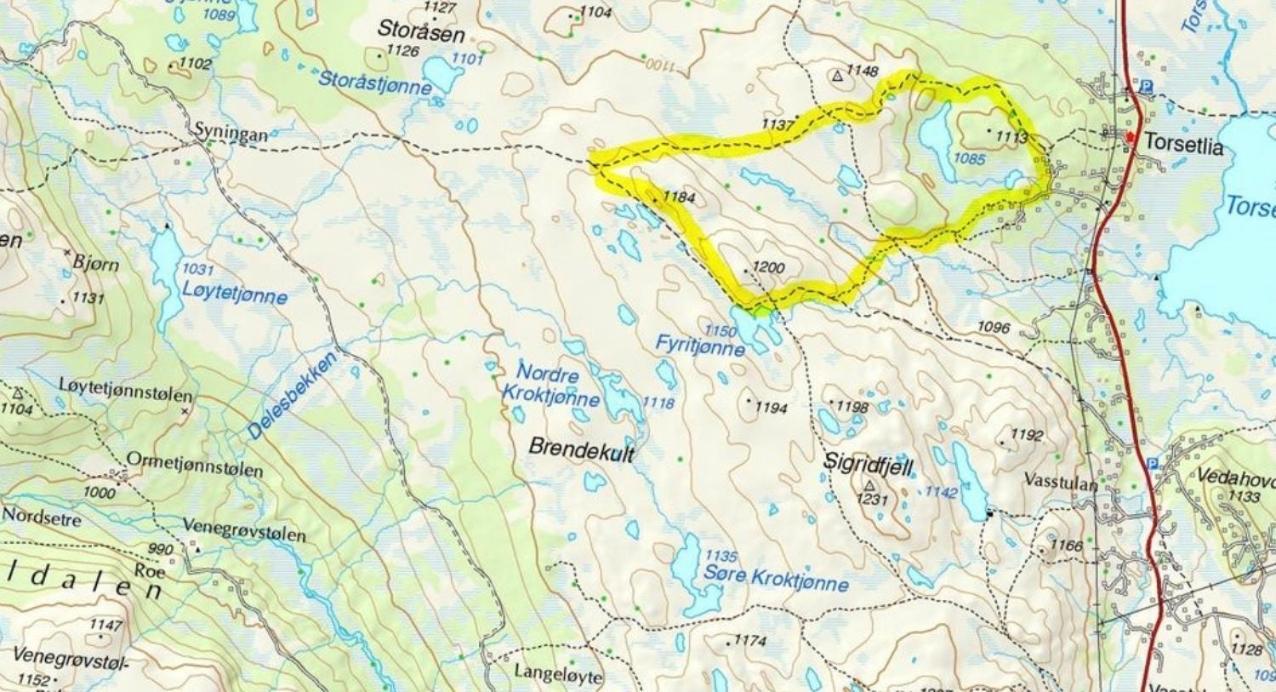 Torsetåsen 34 Villa Uvdal Eksteriør bilde