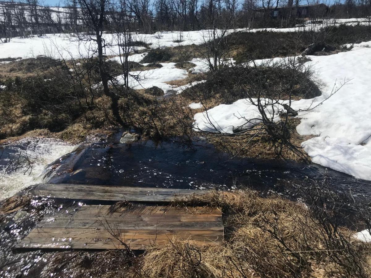 Torsetåsen 34 Villa Uvdal Eksteriør bilde