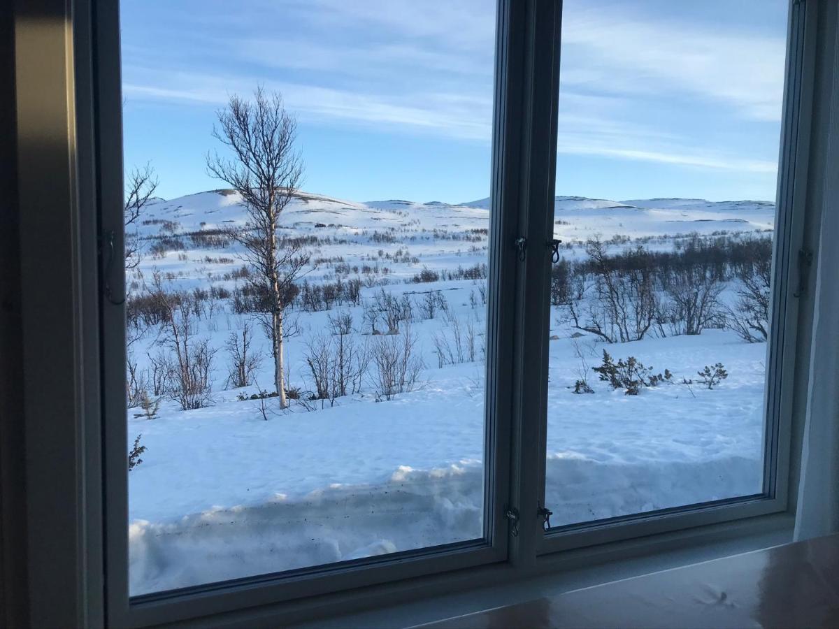 Torsetåsen 34 Villa Uvdal Eksteriør bilde