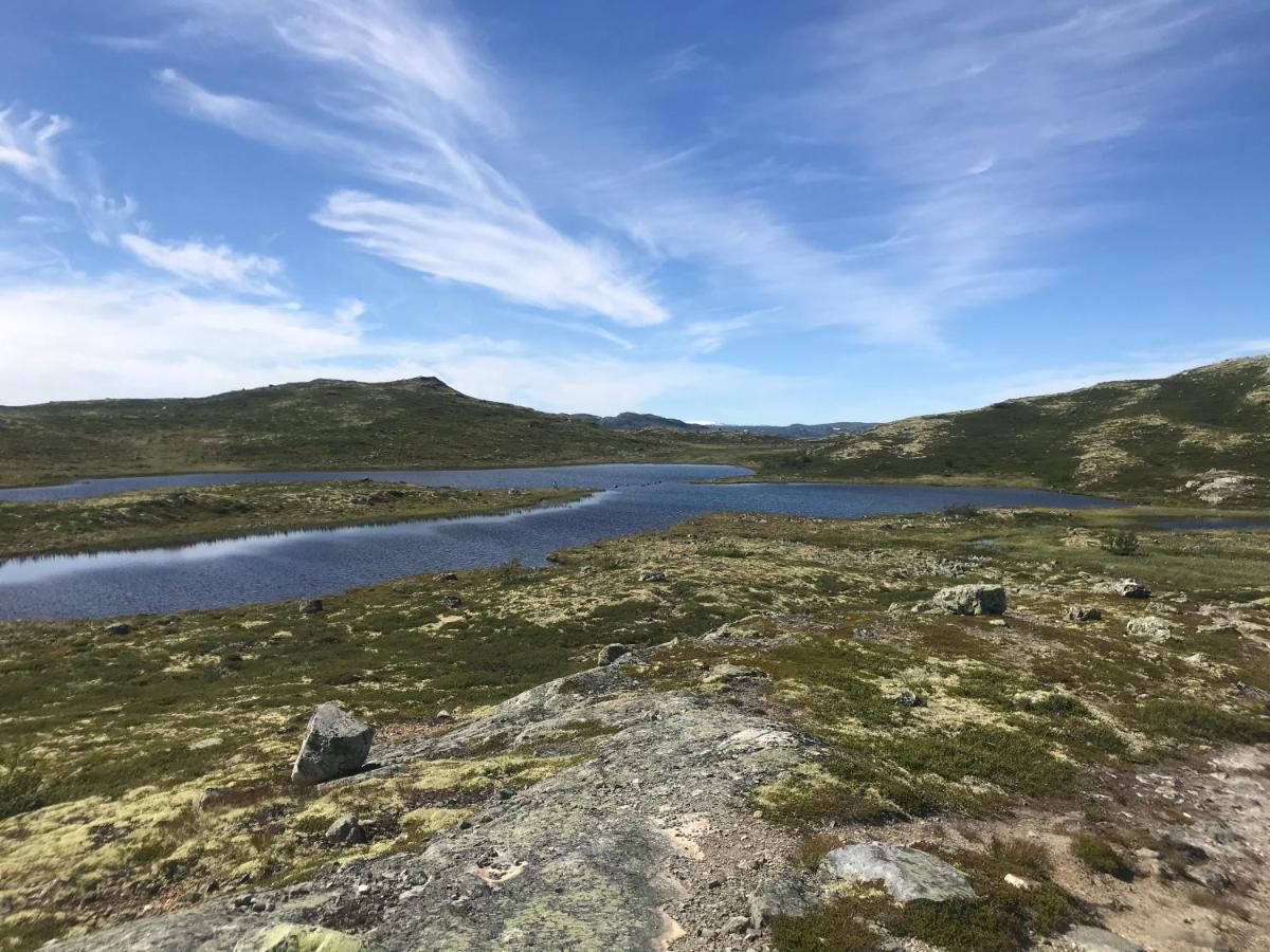 Torsetåsen 34 Villa Uvdal Eksteriør bilde