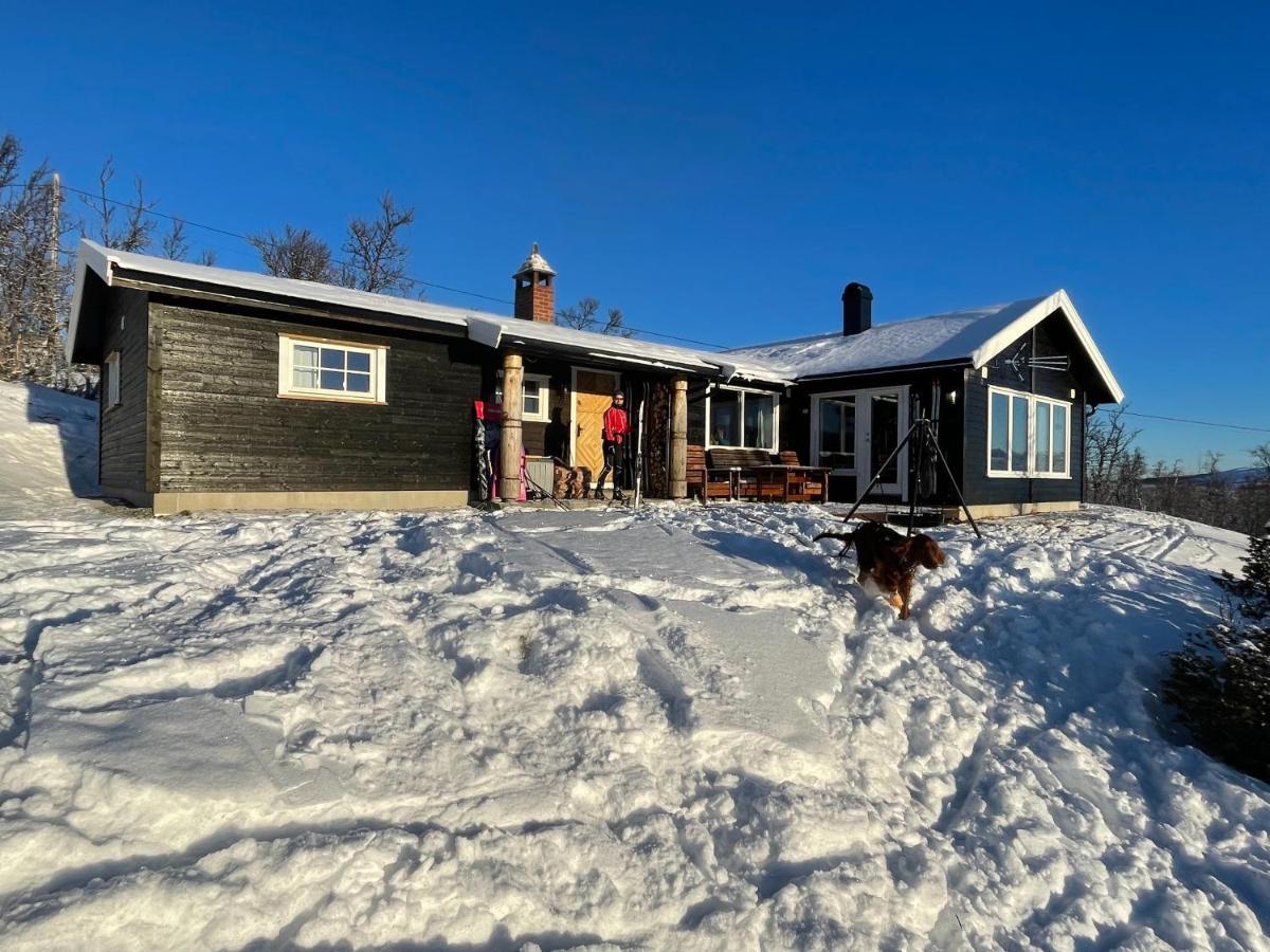 Torsetåsen 34 Villa Uvdal Eksteriør bilde